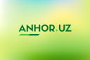 Логотип Anhor.uz